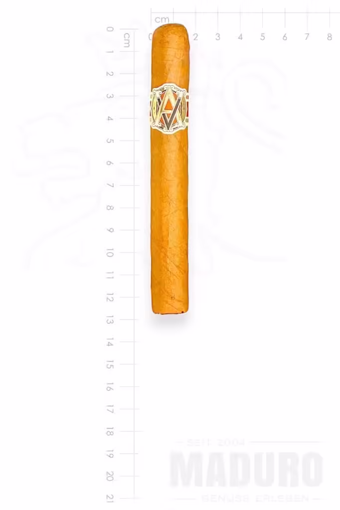 zigarre-avo-xo-noturno-maduro