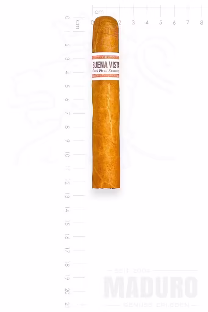 zigarre-buena-vista-dark-fired-kentucky-robusto-maduro